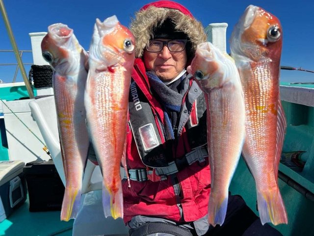 アマダイ(アカアマダイ)