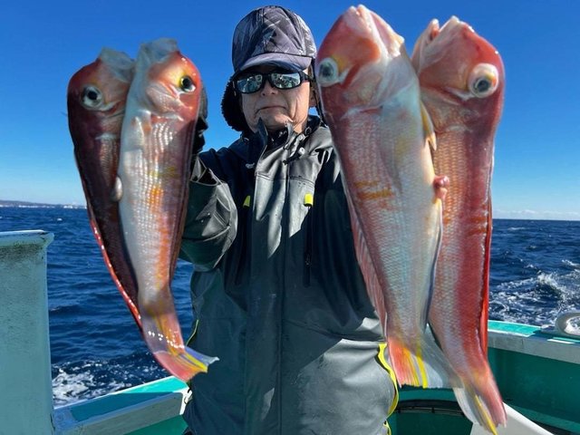 アマダイ(アカアマダイ)