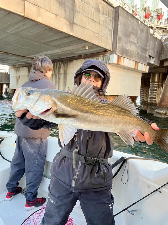 シーバス(スズキ)