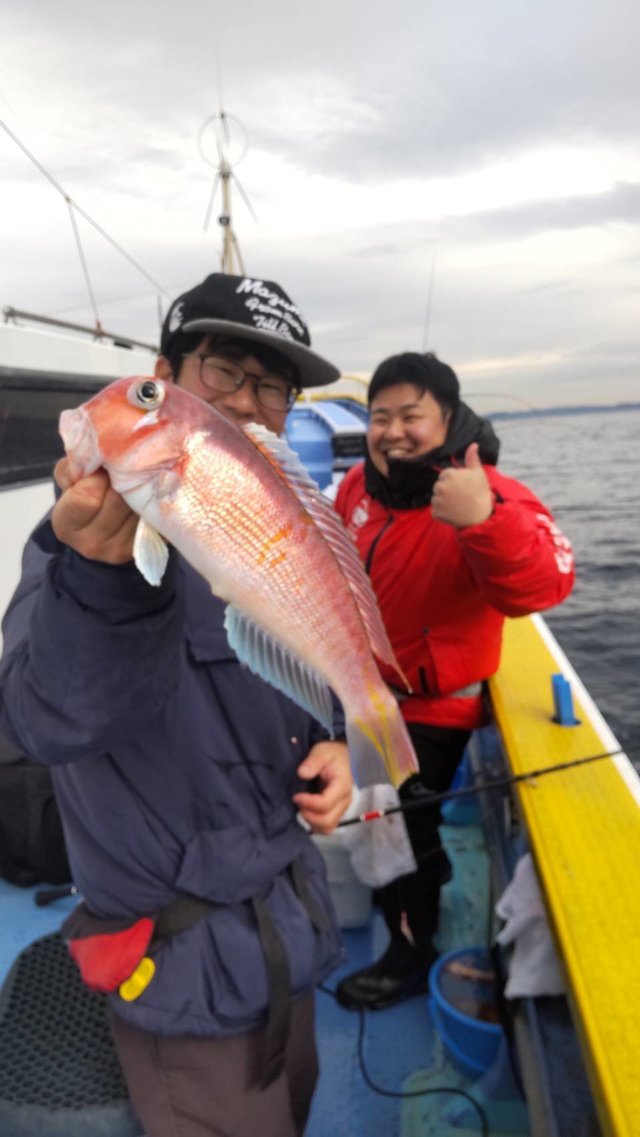 アマダイ(アカアマダイ)