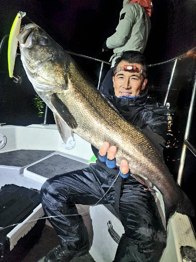 シーバス(スズキ)