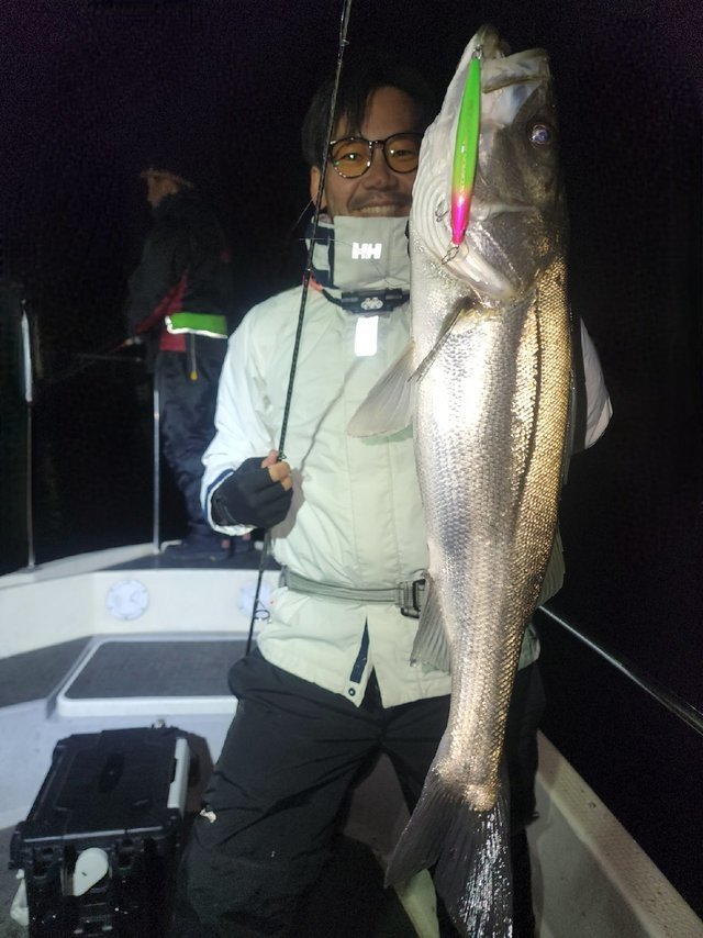 シーバス(スズキ)