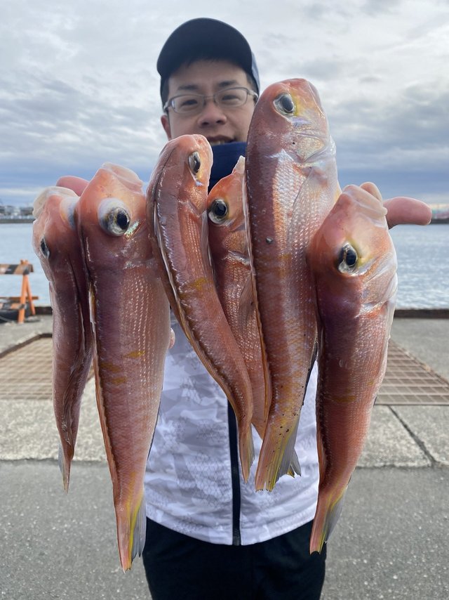 アマダイ(アカアマダイ)