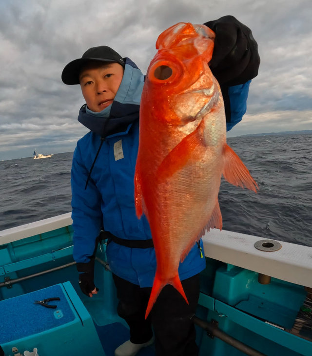 キンメ(キンメダイ)