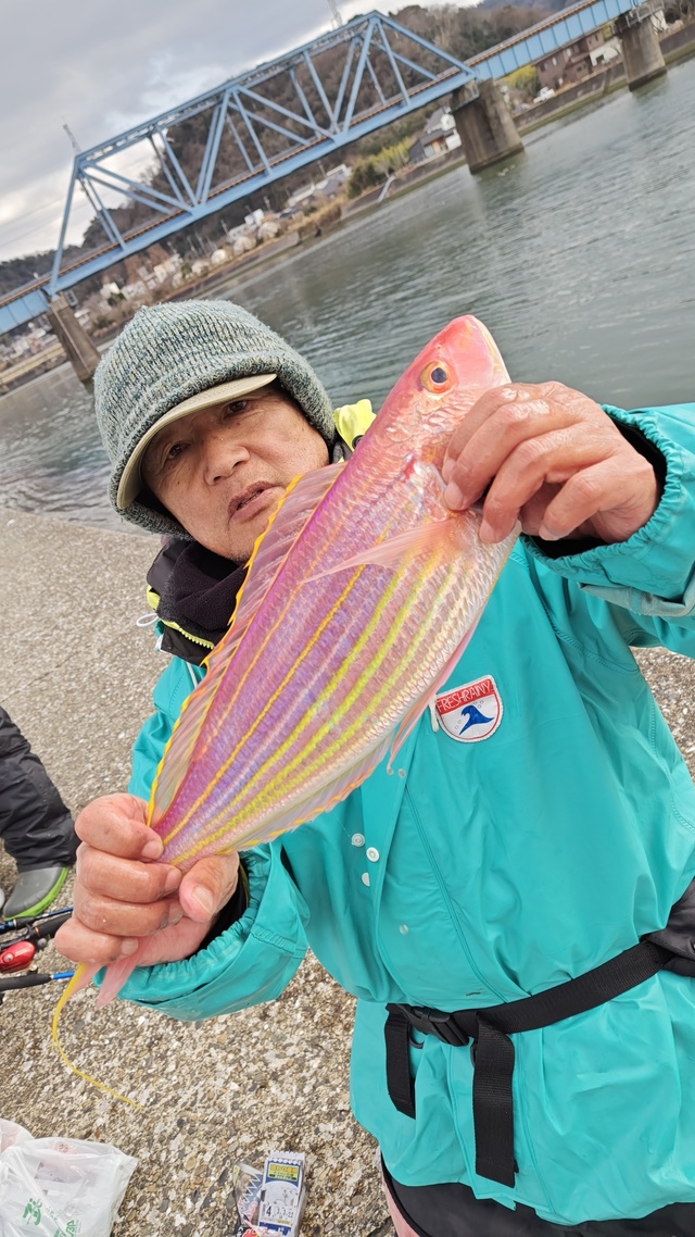 イトヨリ(イトヨリダイ)