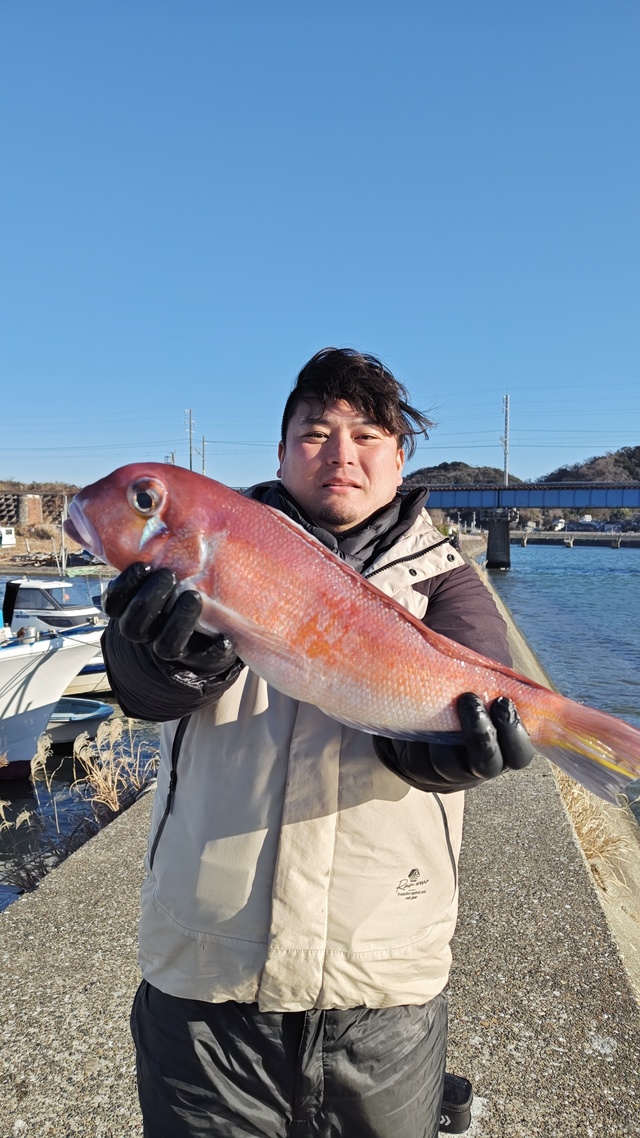 アマダイ(アカアマダイ)