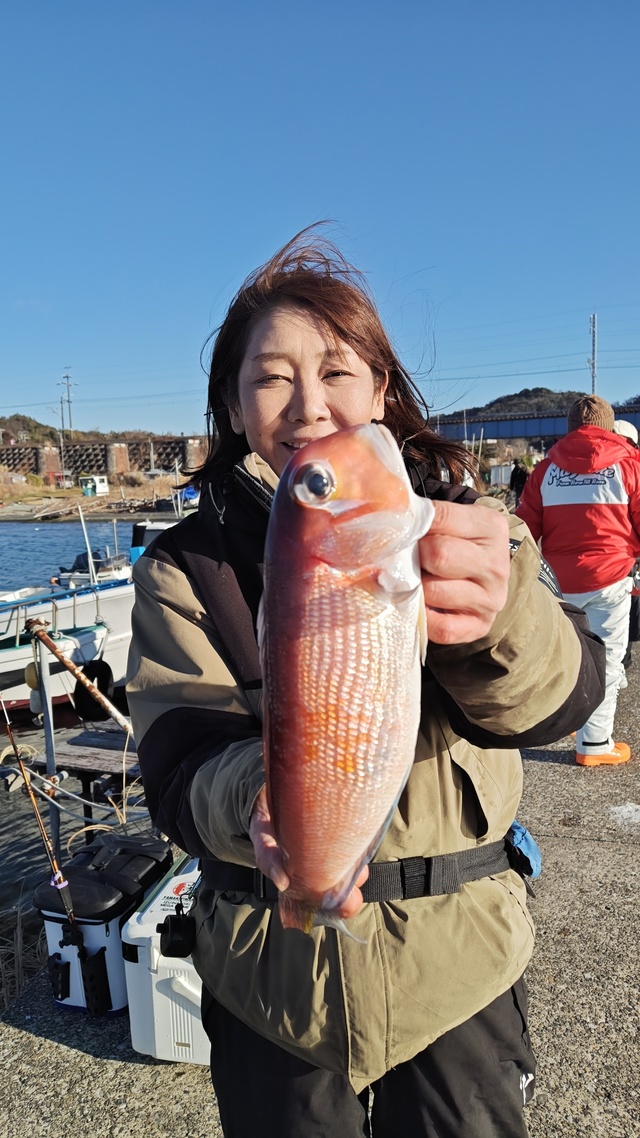 アマダイ(アカアマダイ)