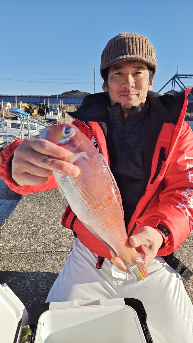 アマダイ(アカアマダイ)