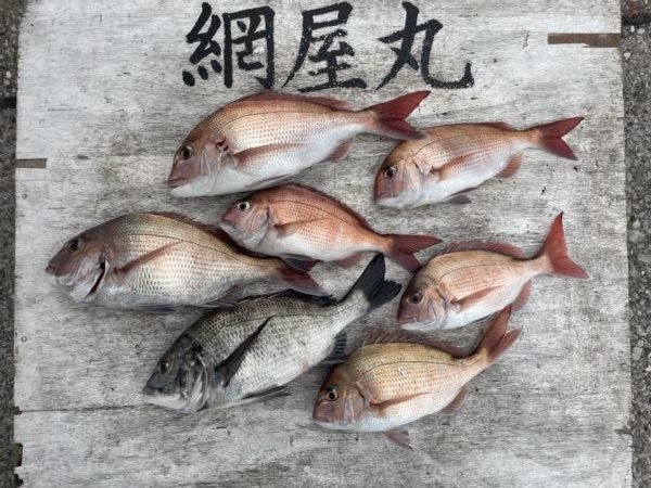 マダイ・クロダイ