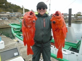 ベニアコウ(オオサガ)