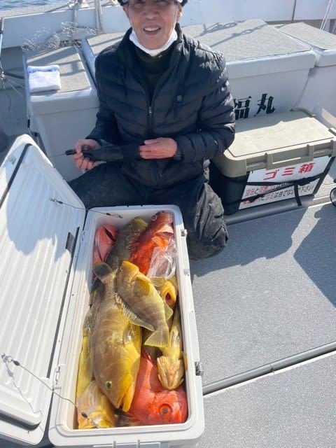 アオナ(アオハタ)・チカメキントキ