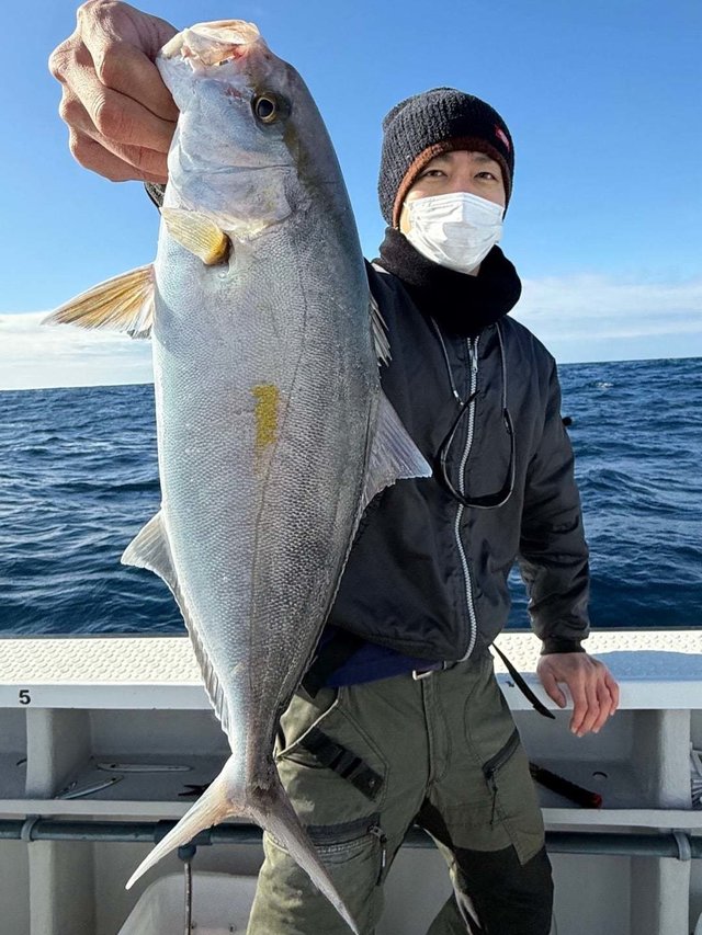 ショゴ(カンパチ)