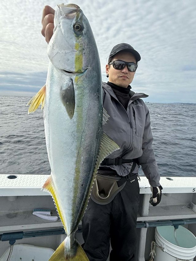 サンパク(ブリ)