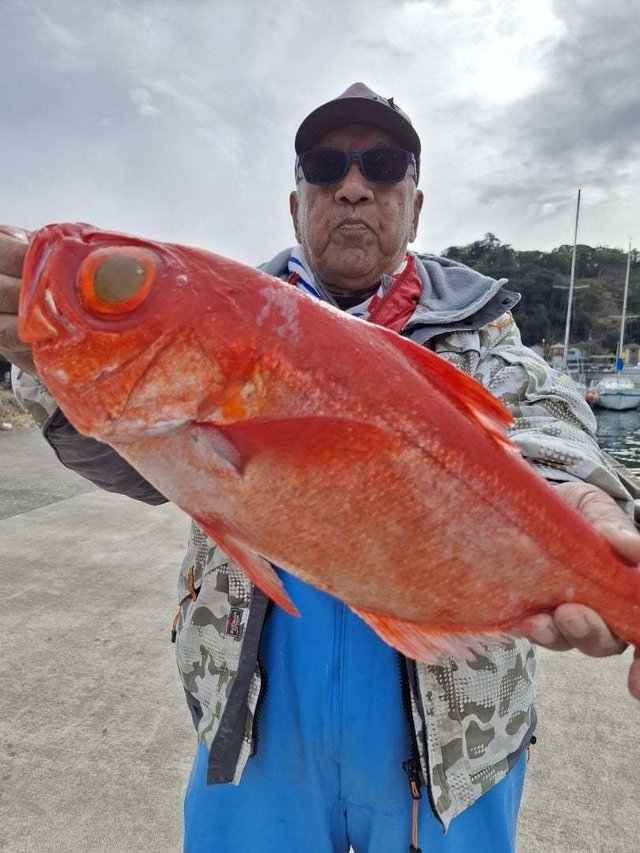 キンメ(キンメダイ)