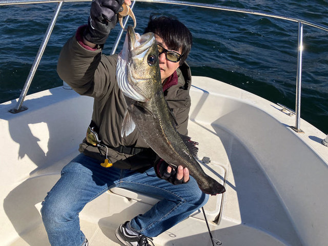 シーバス(スズキ)