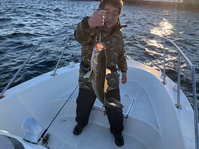 シーバス(スズキ)