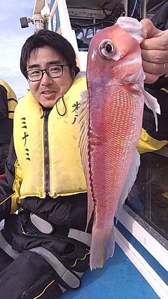 アマダイ(アカアマダイ)