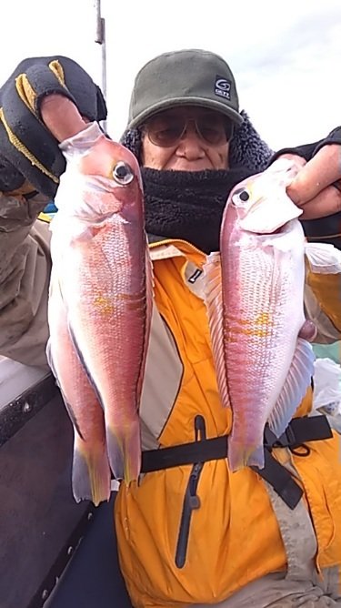 アマダイ(アカアマダイ)