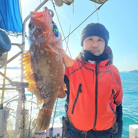 アコウ(キジハタ)