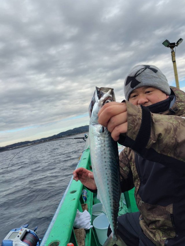 サバ(ゴマサバ)