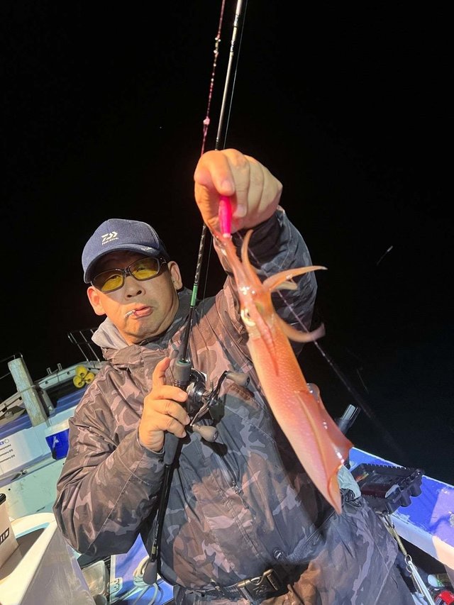 マルイカ(ケンサキイカ)