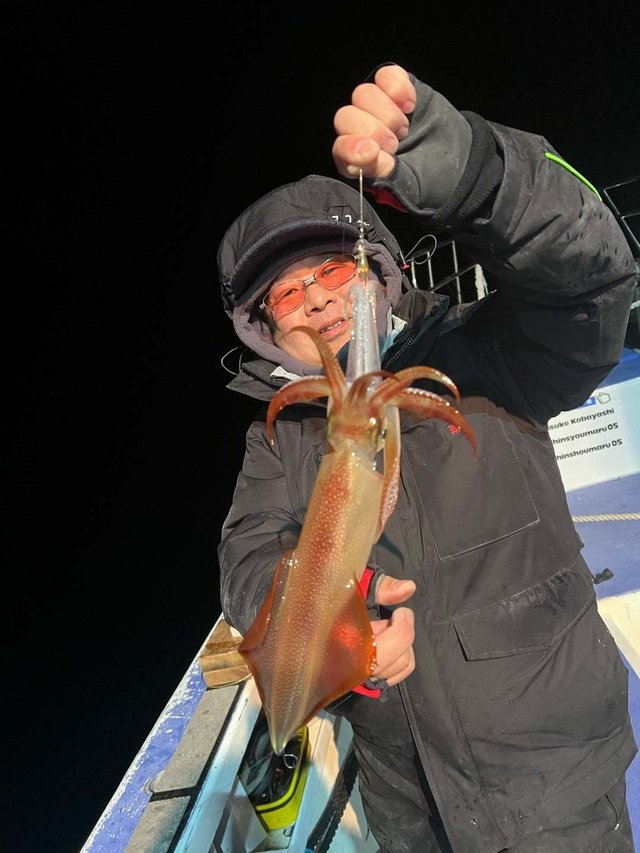 マルイカ(ケンサキイカ)