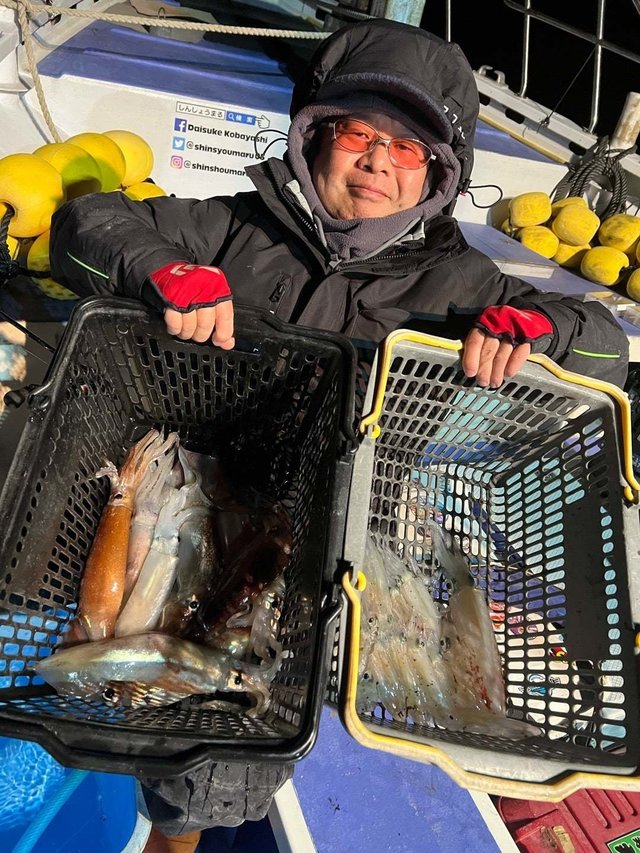 マルイカ(ケンサキイカ)・スルメイカ