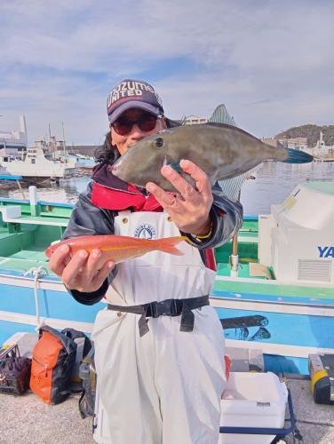 イシダイ・イトヨリ(イトヨリダイ)