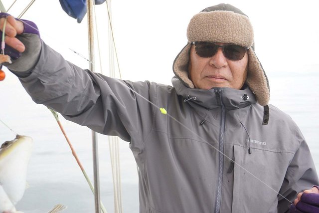 ショウサイフグ