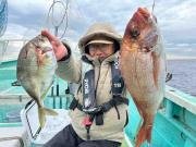 マダイ・カイワリ