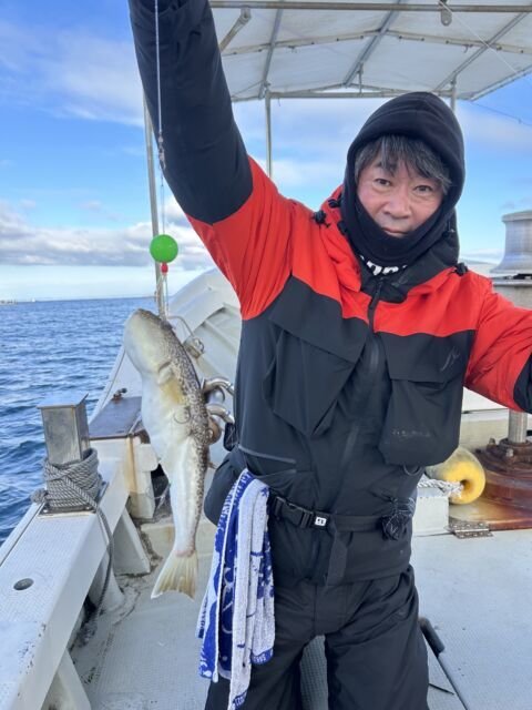 ショウサイフク(ショウサイフグ)