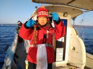 ヤリイカ・スルメ(スルメイカ)