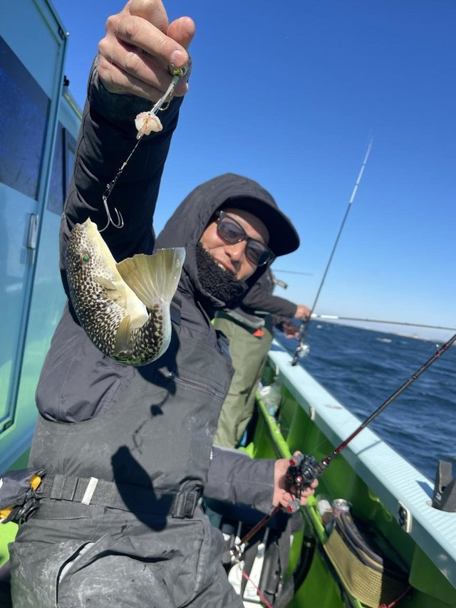 フグ(ショウサイフグ)