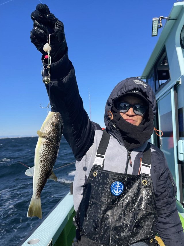 フグ(ショウサイフグ)