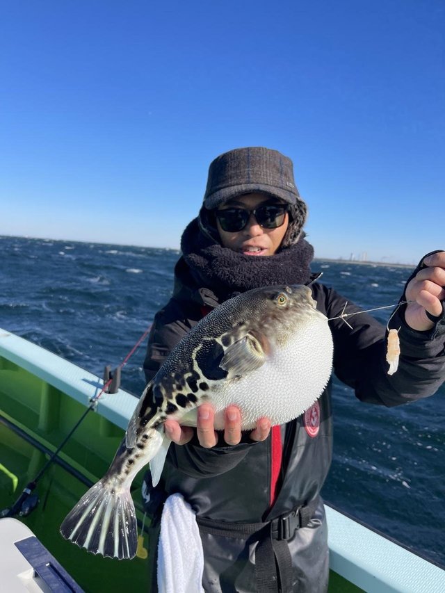 フグ(トラフグ)