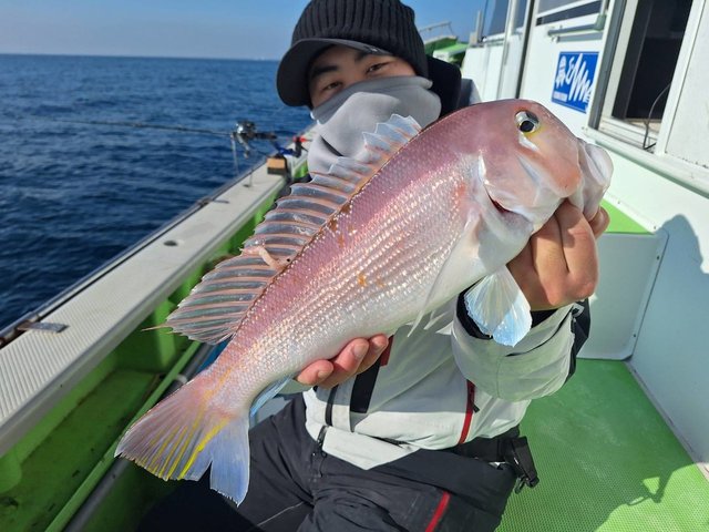 アマダイ(アカアマダイ)