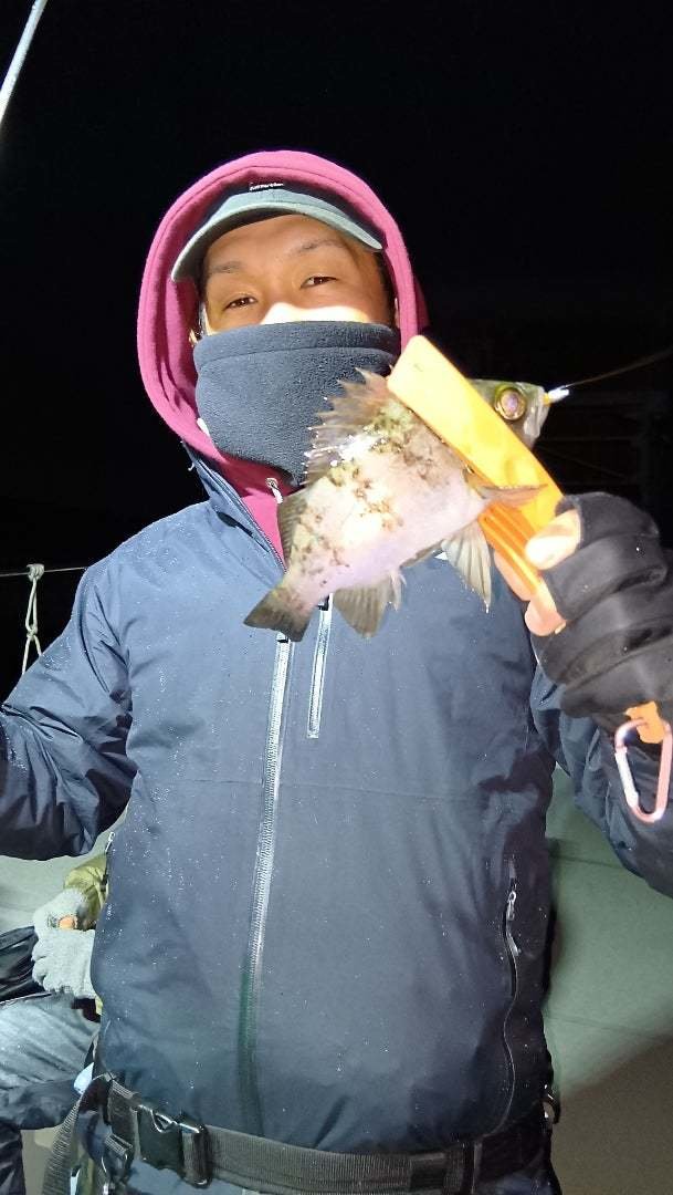 ガシラ(カサゴ)