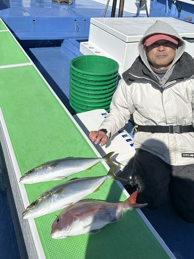 マダイ・イナダ(ブリ)