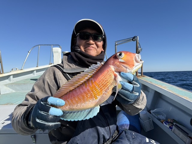 アマダイ(アカアマダイ)