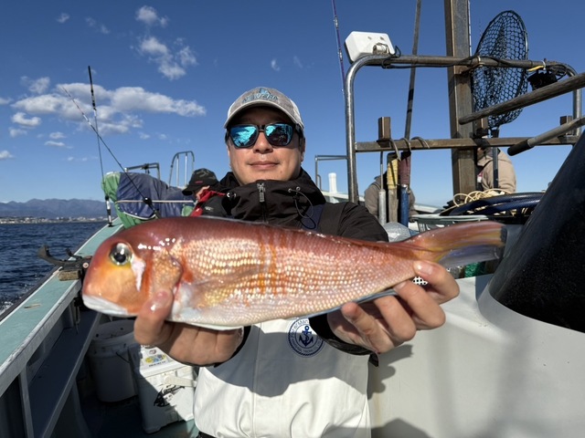 アマダイ(アカアマダイ)