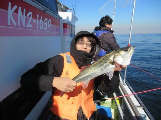 シーバス(スズキ)