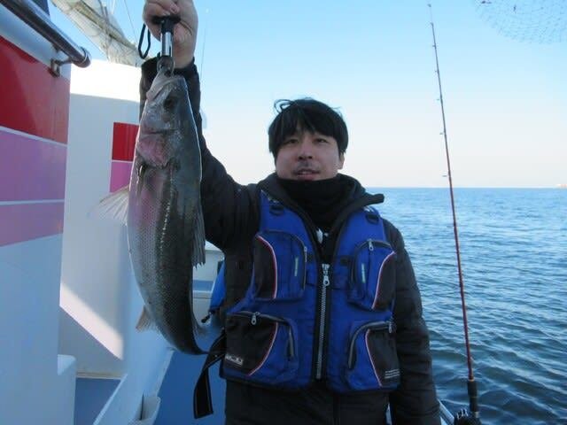 シーバス(スズキ)