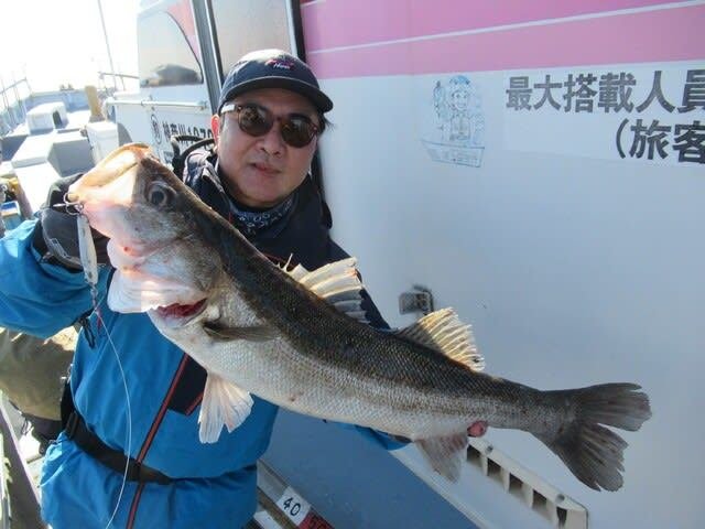 シーバス(スズキ)