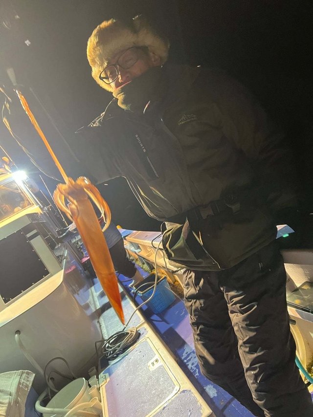 マルイカ(ケンサキイカ)