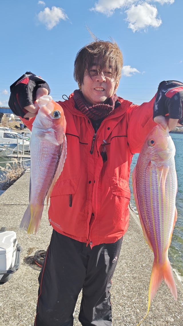 アマダイ(アカアマダイ)・イトヨリ(イトヨリダイ)