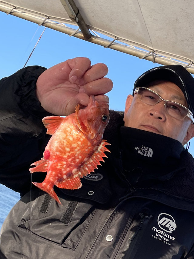 ガシラ(カサゴ)