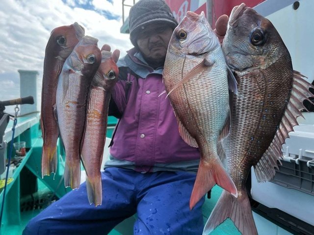 マダイ・アマダイ(アカアマダイ)