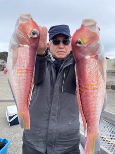 アマダイ(アカアマダイ)