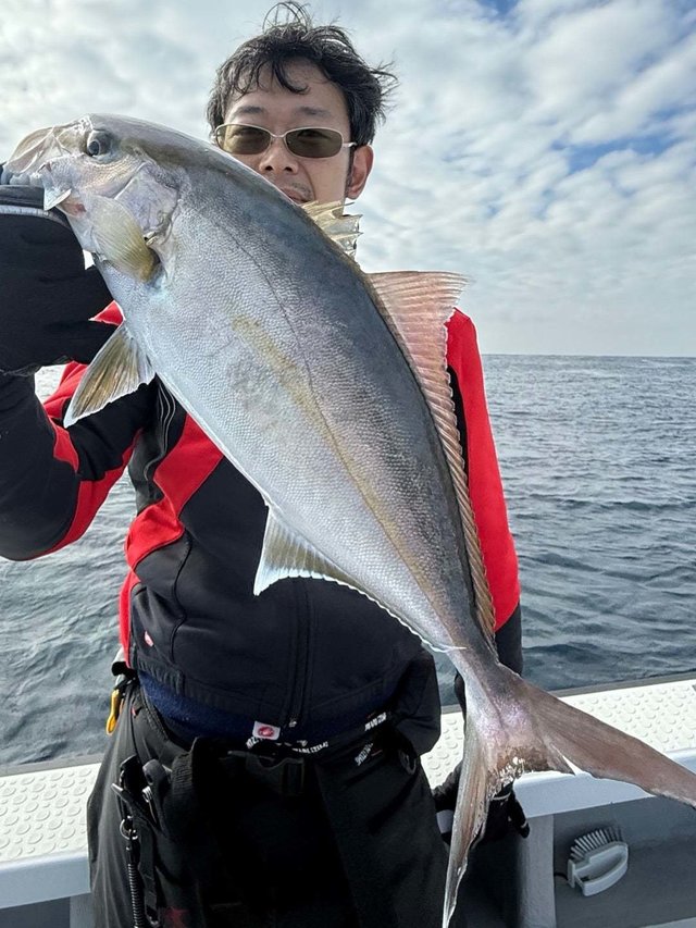 ショゴ(カンパチ)