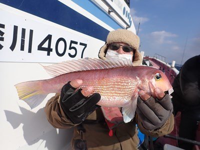 アマダイ(アカアマダイ)